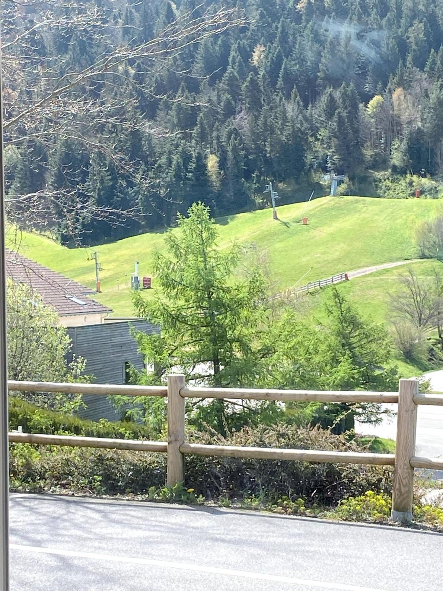 Aux Pieds Des Pistes 4/6 Personnes Daire Gérardmer Dış mekan fotoğraf